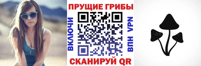 Галлюциногенные грибы ЛСД  Куртамыш 